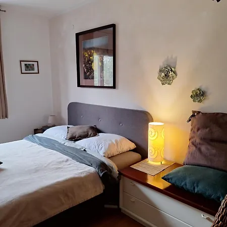 Pakua & Penthouse Rovinj