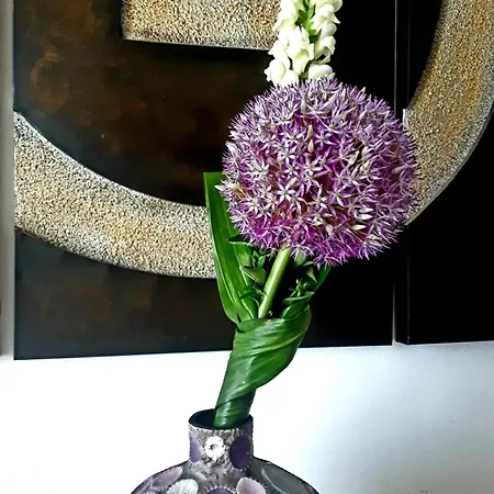Pakua & Penthouse Appartamento